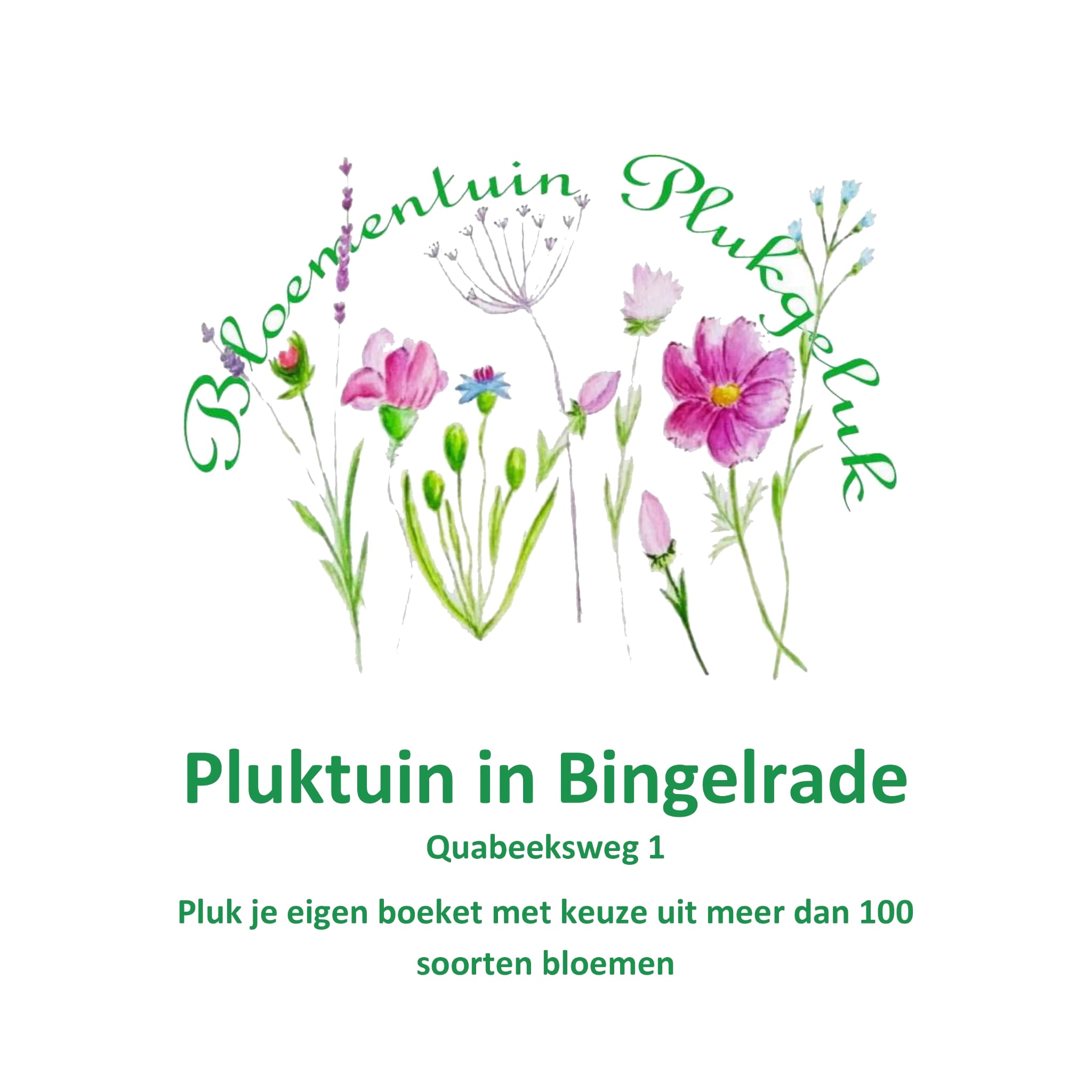 Bloementuin Plug Geluk Bingelrade